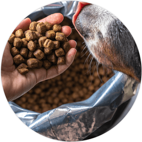 Animal Feed and Pet Food Registration