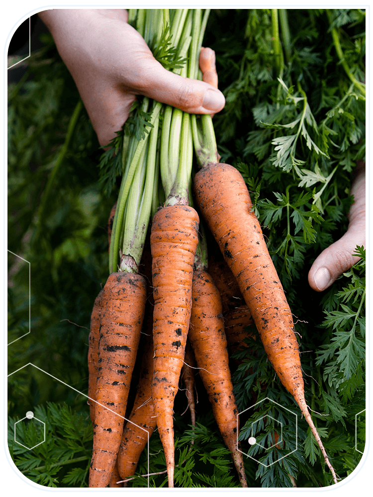 Label Auditing Fertilizer