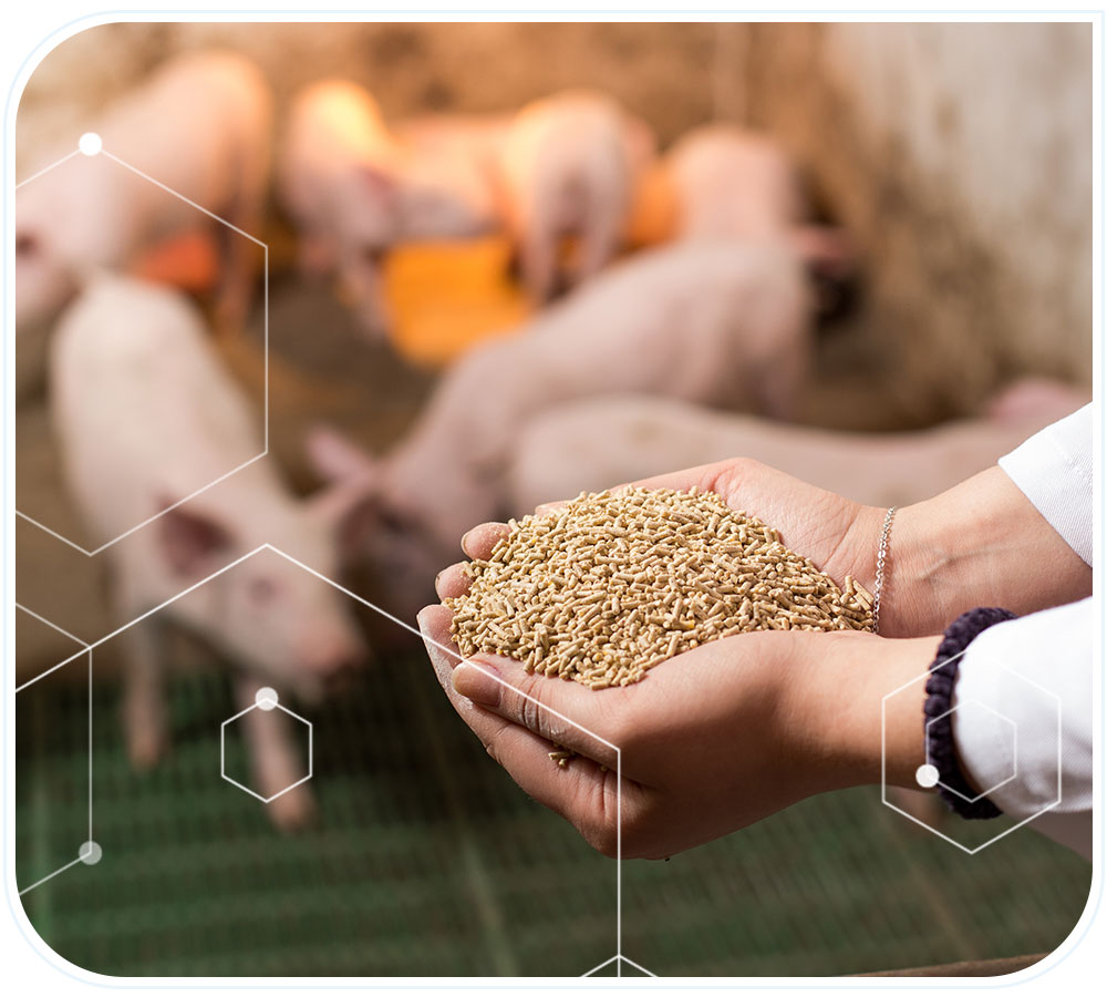 Managing Animal Feed-and Pet Food