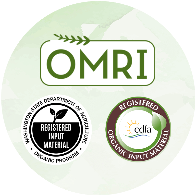 Strategic Consultation