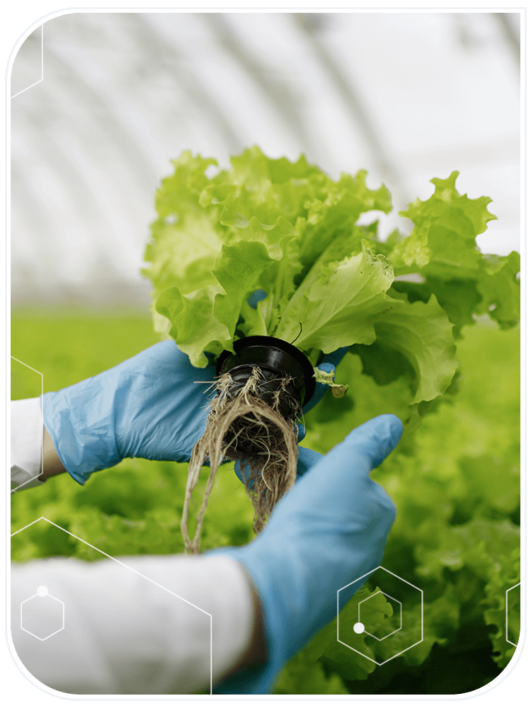 Simplified Management