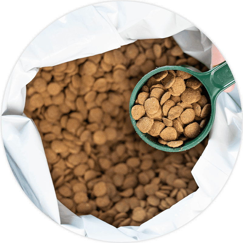 Expert Review & Risk Mitigation