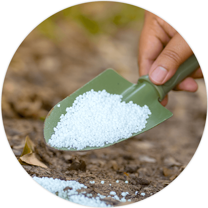 Expert Review & Risk Mitigation