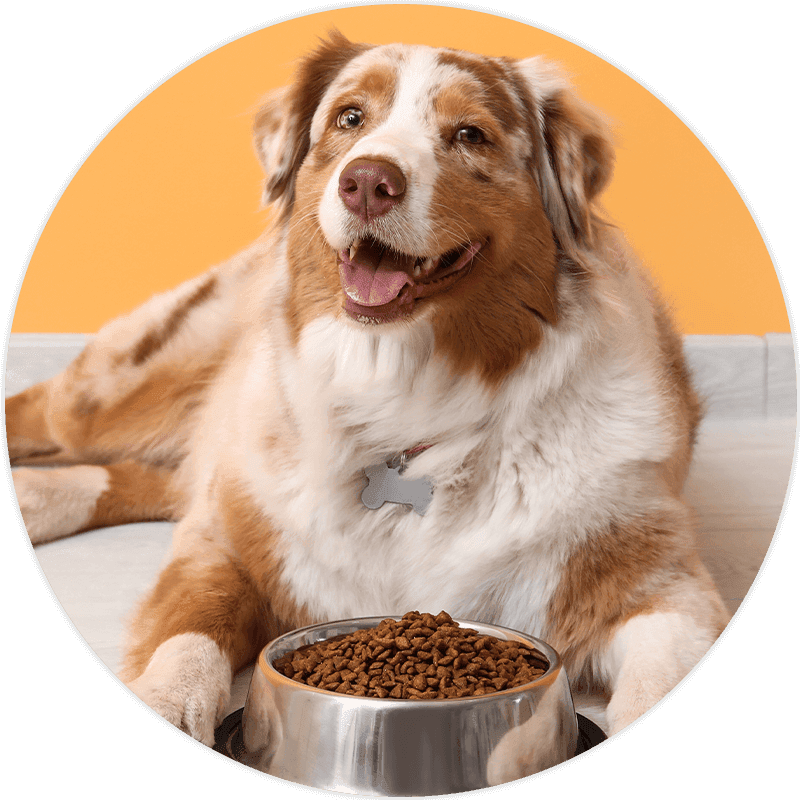 Submission & Approval