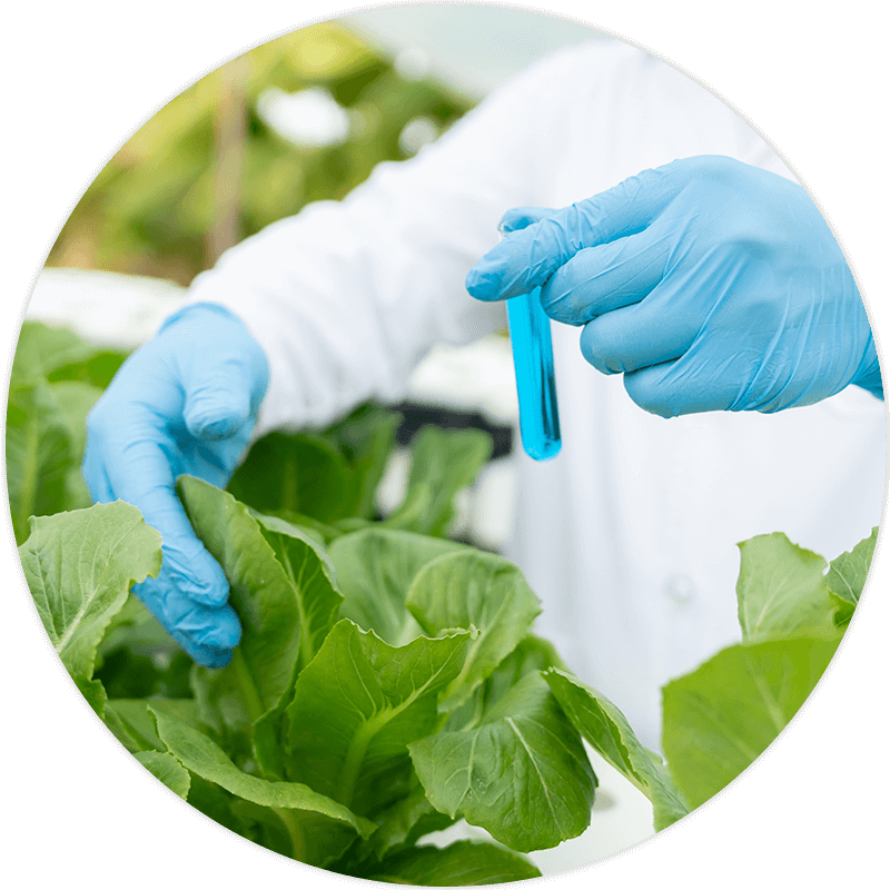 Product Assessment & Risk Identification