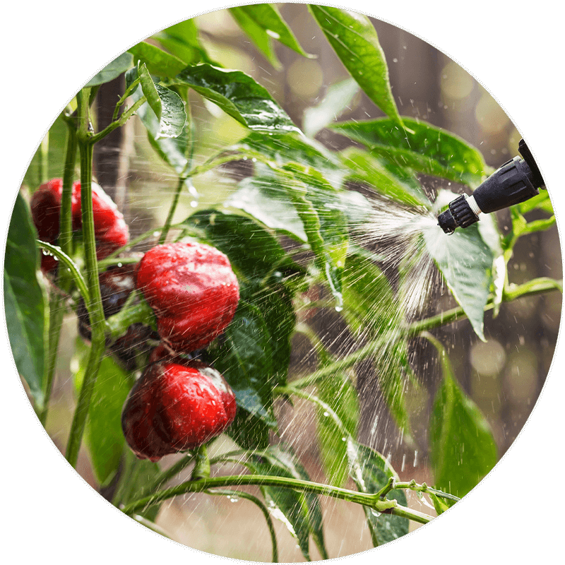 Submission, Approval & Ongoing Support