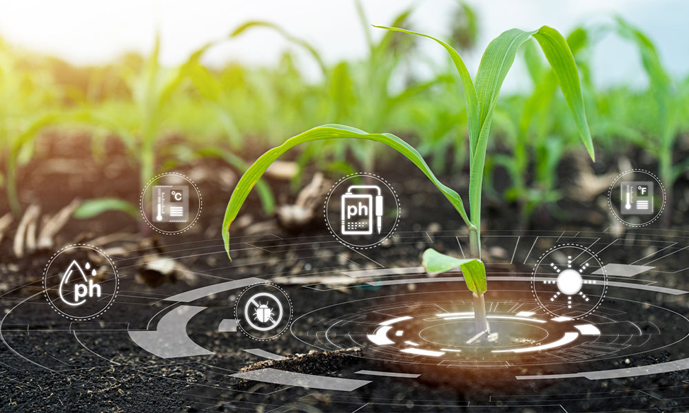 From Bourbon Street to Biostimulants: AAPFCO Winter Meeting Recap