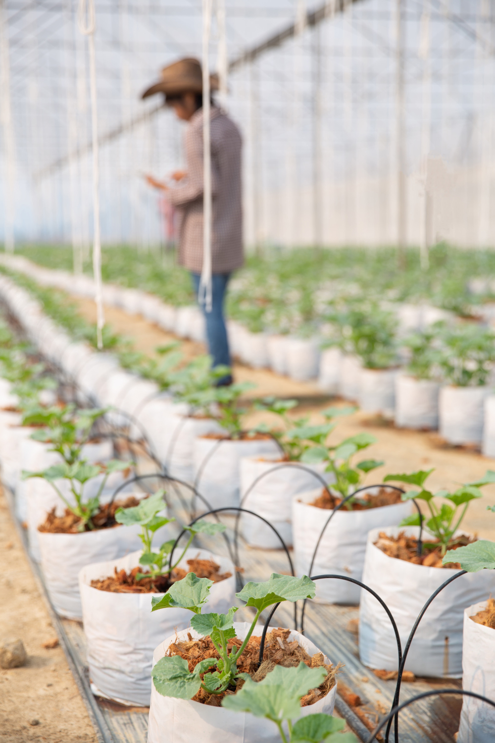 Biostimulant Registration & Regulatory Consulting Services