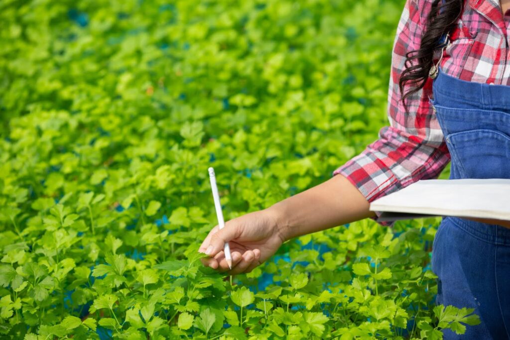 Biostimulant Manufacturers