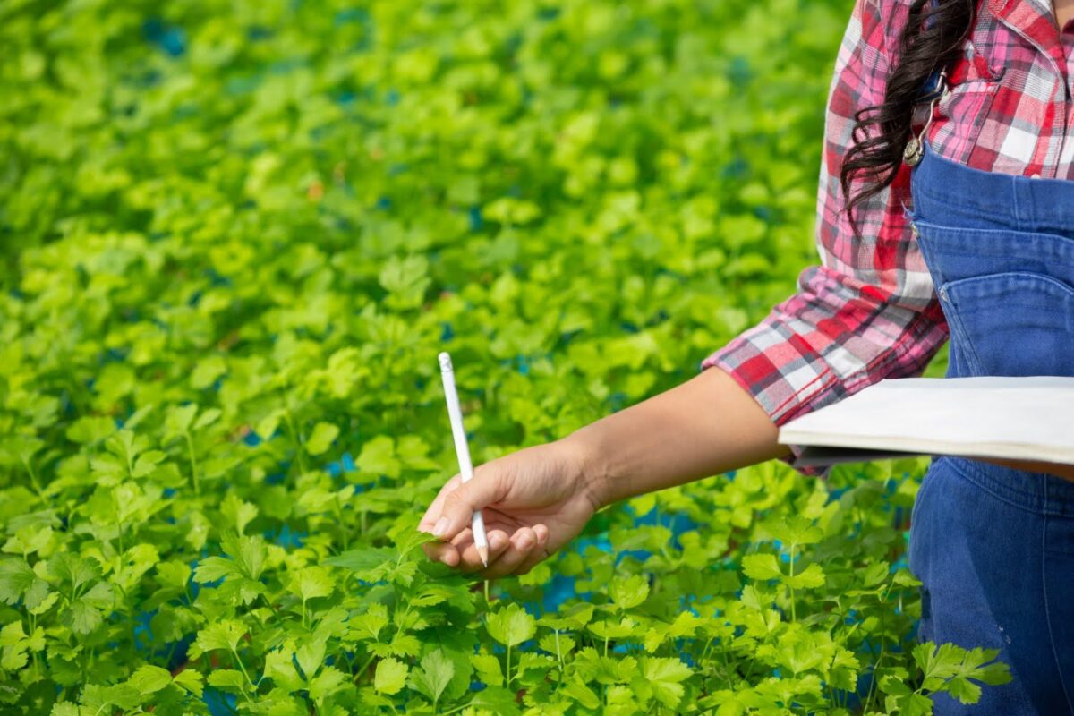 Biostimulant Manufacturers