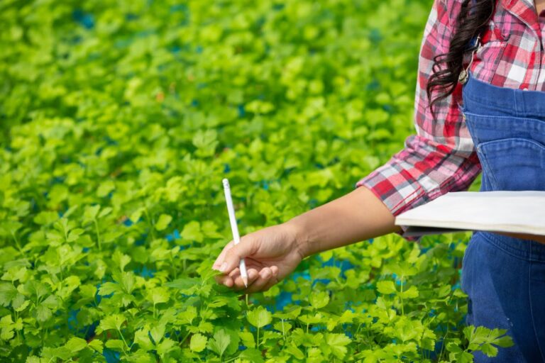 Biostimulant Manufacturers