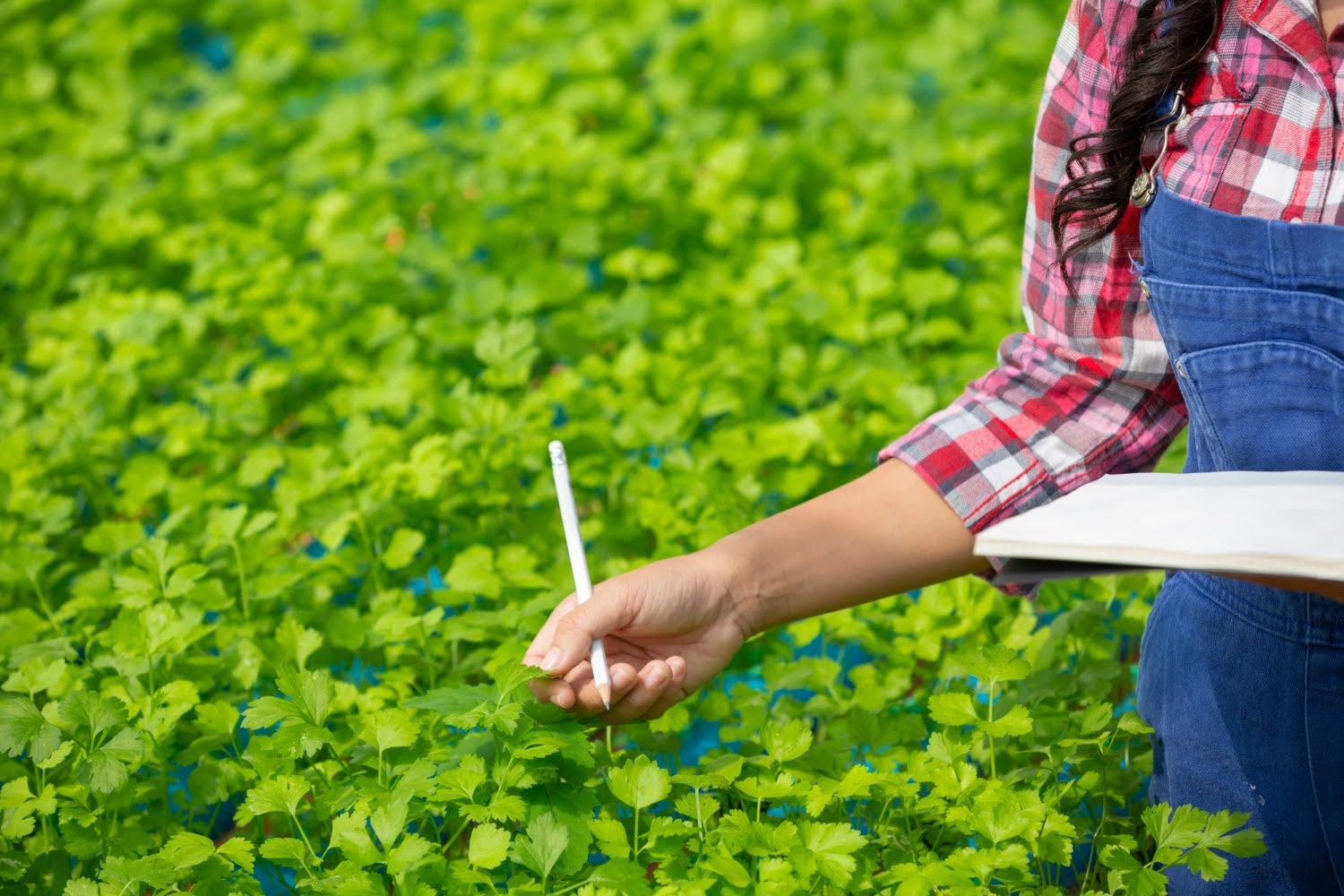 Biostimulant Manufacturers