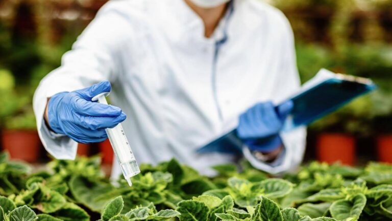 Pesticides registration