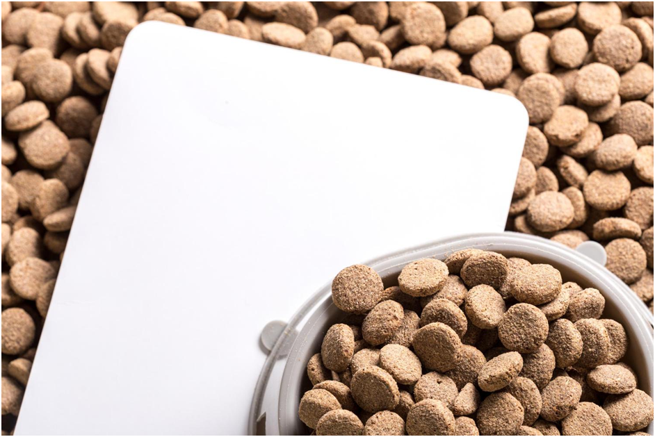 Pet Food Labeling